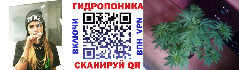 Конопля Ganja Суровикино